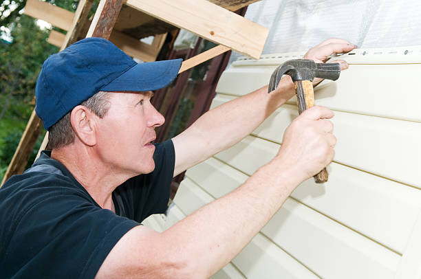 Best Historical Building Siding Restoration  in Alton, IA